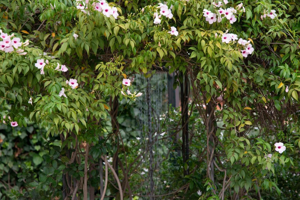 Boutique Villa Etna D'A'Mare 特雷卡斯塔尼 外观 照片