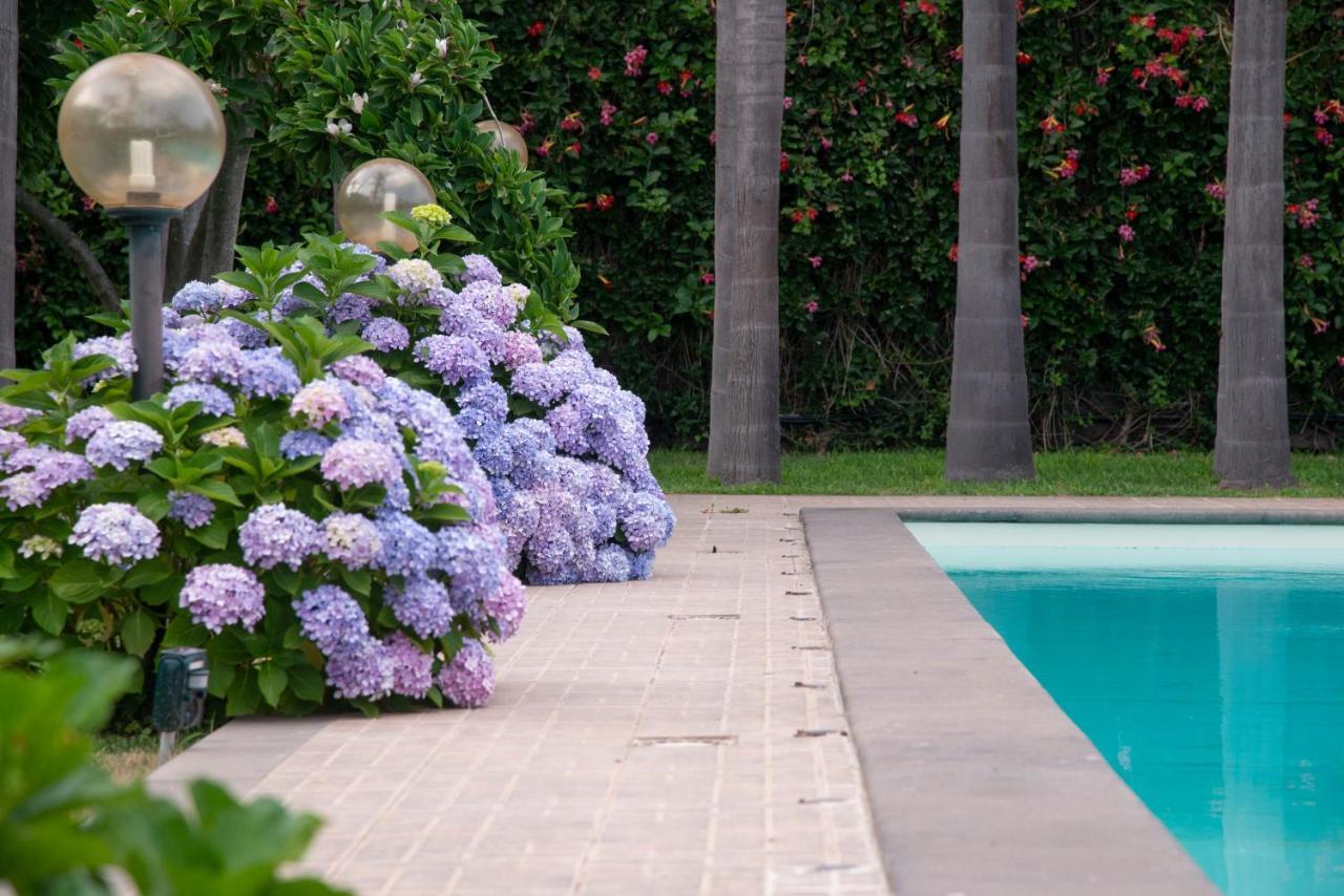 Boutique Villa Etna D'A'Mare 特雷卡斯塔尼 外观 照片